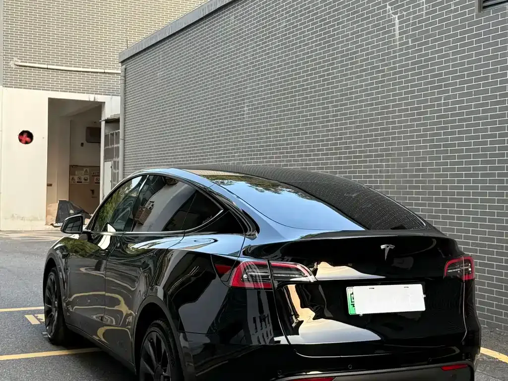 Tesla Model Y — фото 10