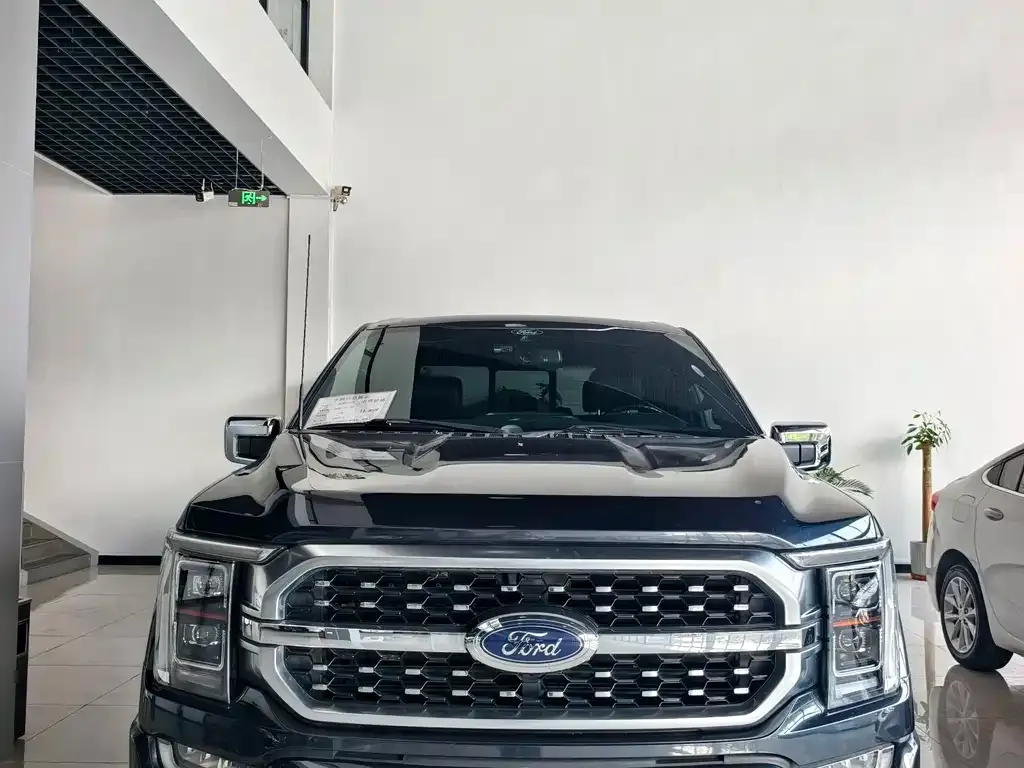 Ford F-150 Raptor — фото 1