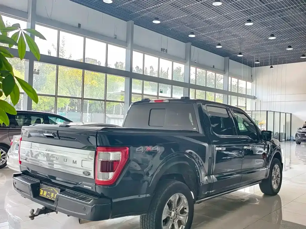 Ford F-150 Raptor — фото 7