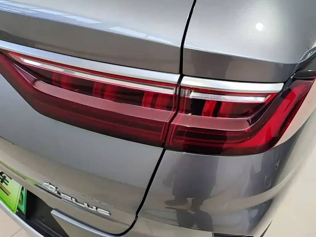 BYD PLUS New Energy — фото 2