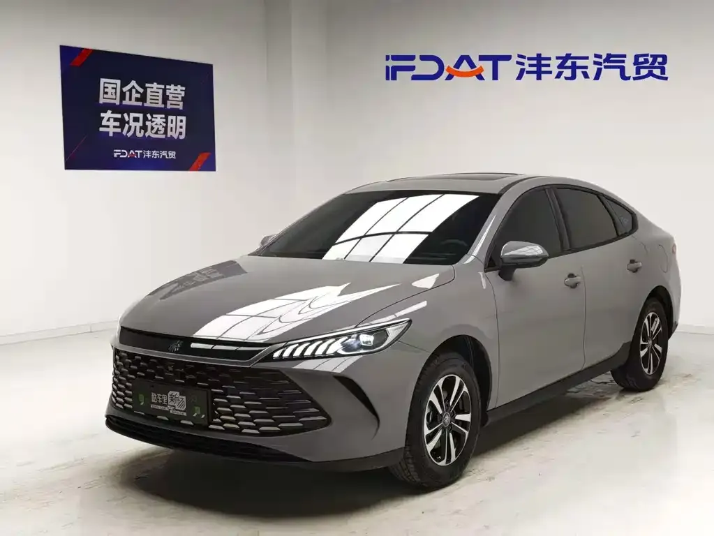 BYD Qin PLUS — фото 1