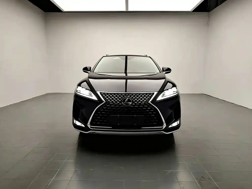 Lexus RX — фото 10