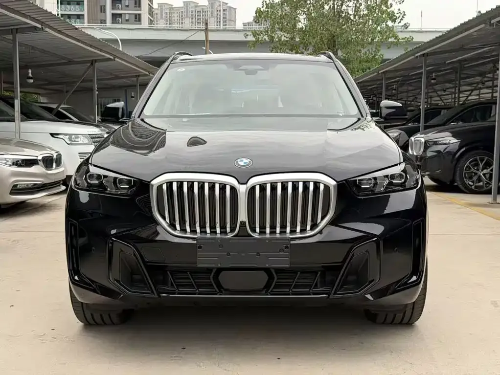 BMW X5 — фото 5