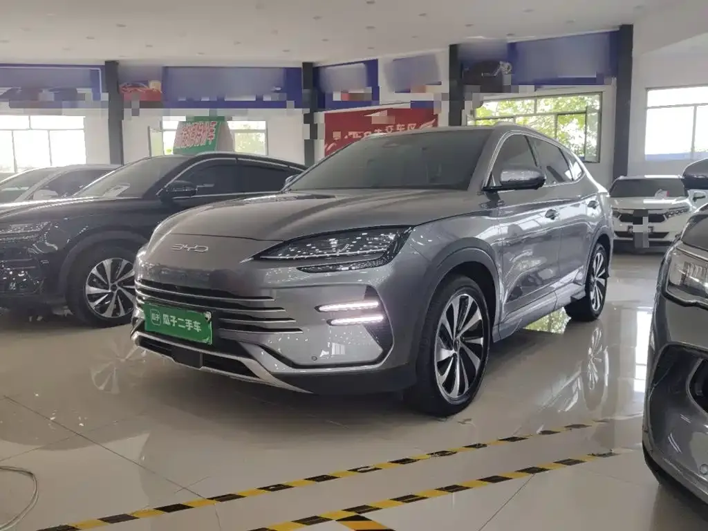 BYD PLUS New Energy — фото 1