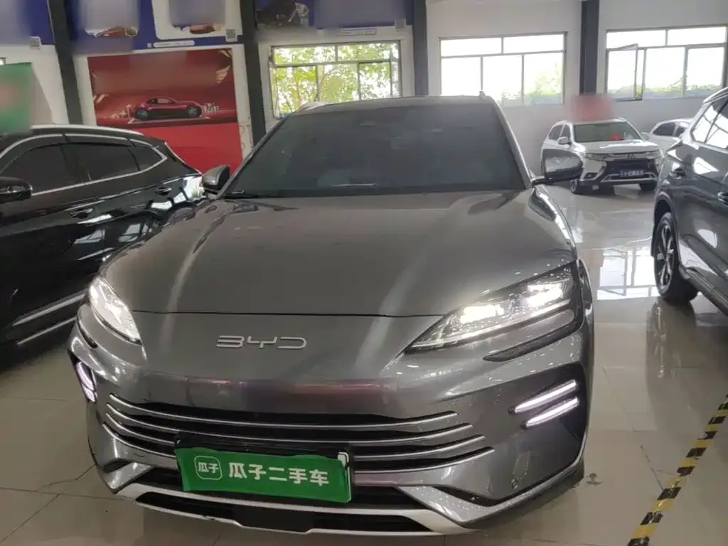 BYD PLUS New Energy — фото 8