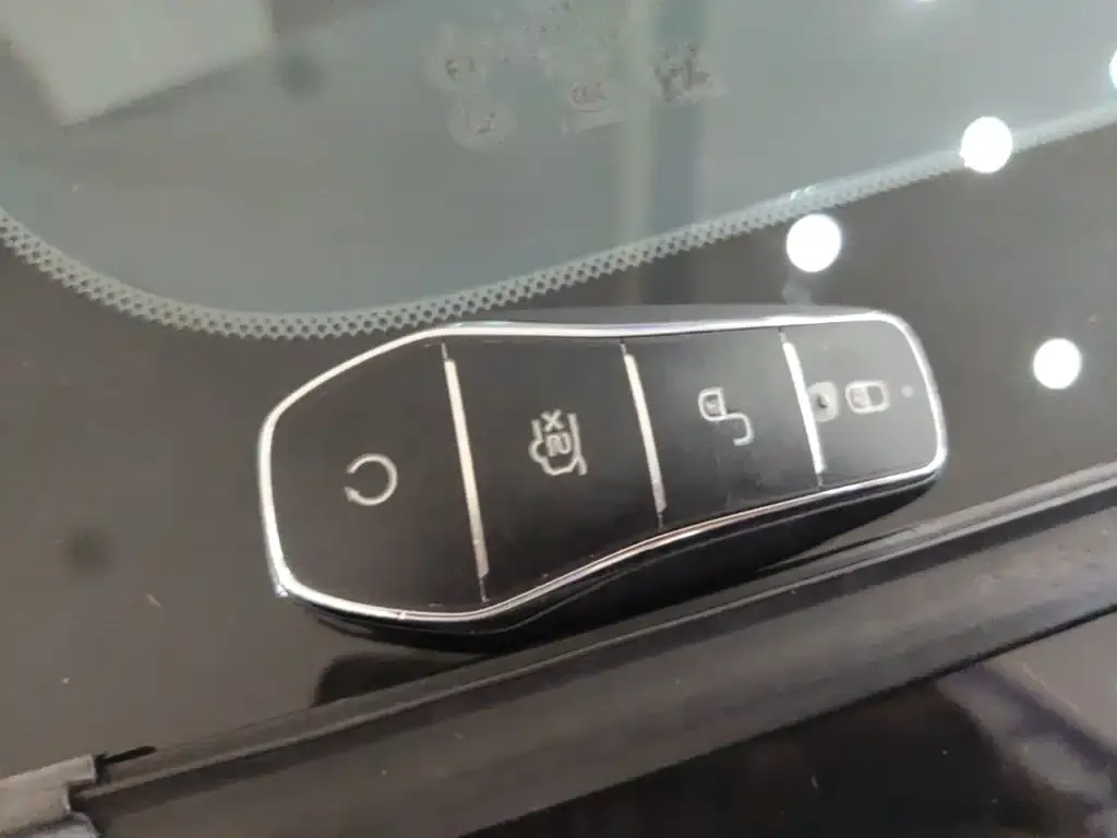 BYD PLUS New Energy — фото 4