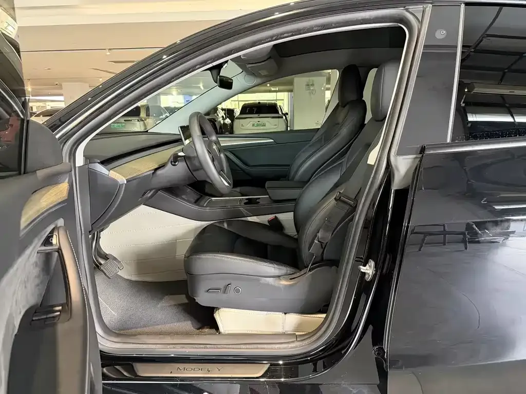 Tesla Model Y — фото 6
