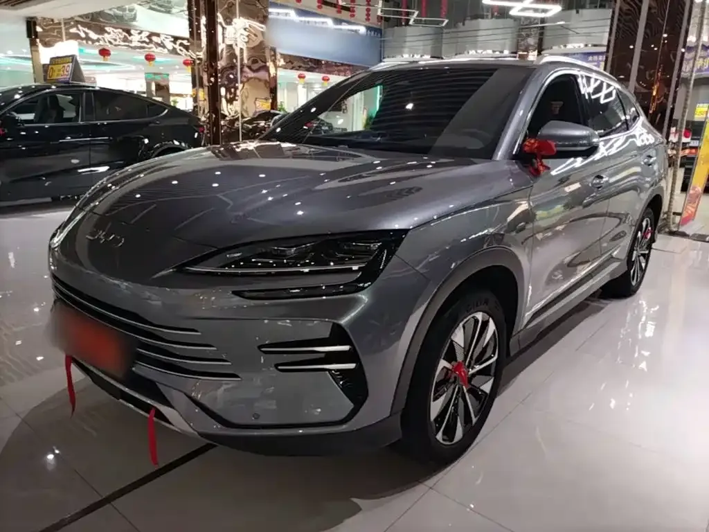 BYD PLUS New Energy — фото 1
