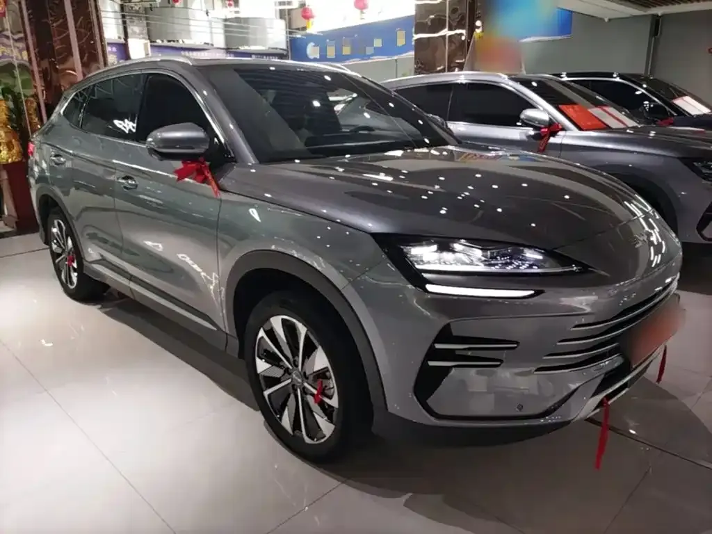 BYD PLUS New Energy — фото 2