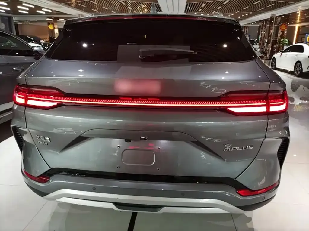 BYD PLUS New Energy — фото 4