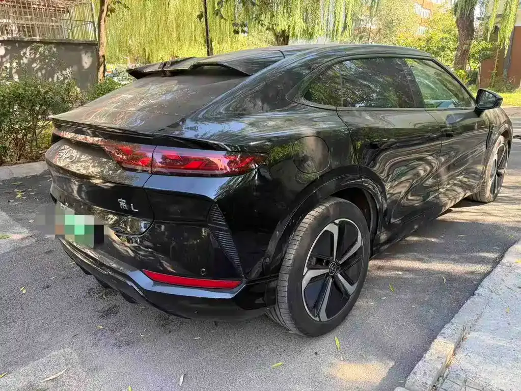 BYD L EV — фото 4