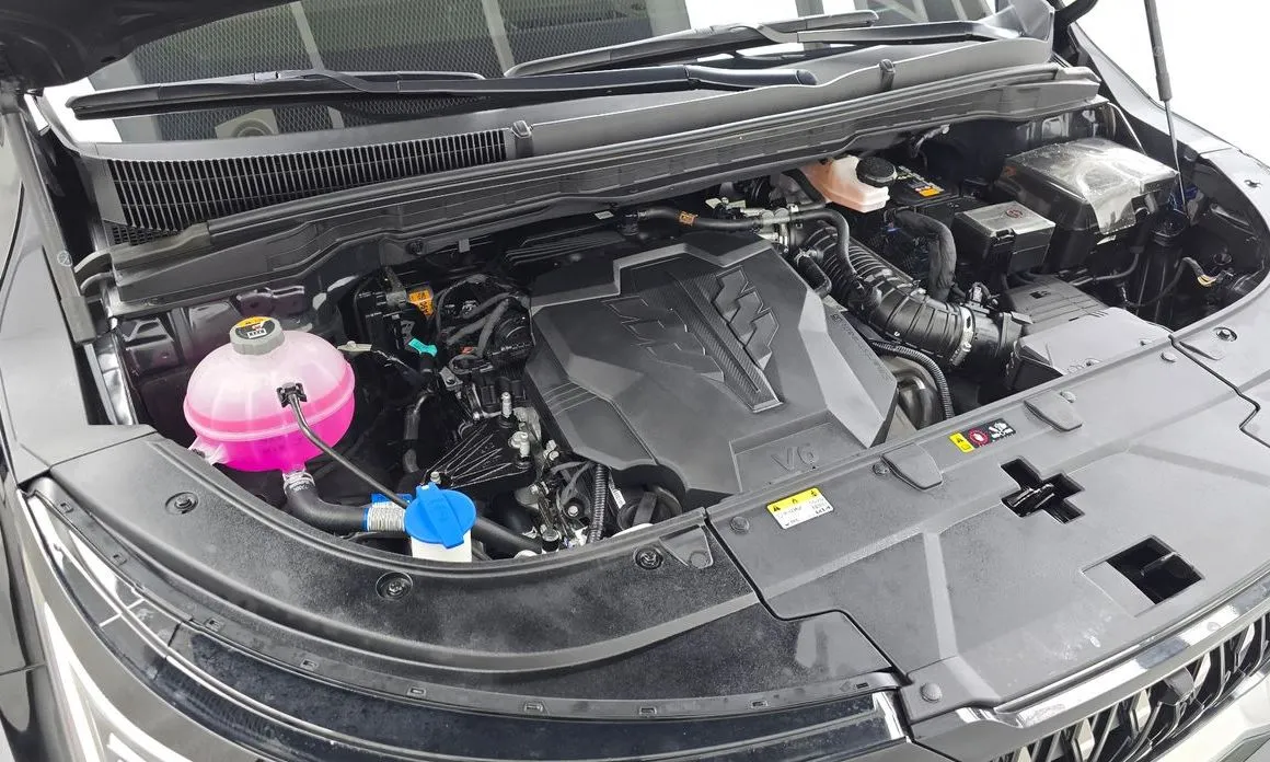 Kia Carnival — фото 10