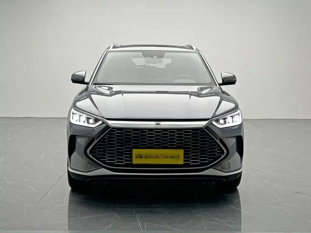 BYD PLUS New Energy — фото 3