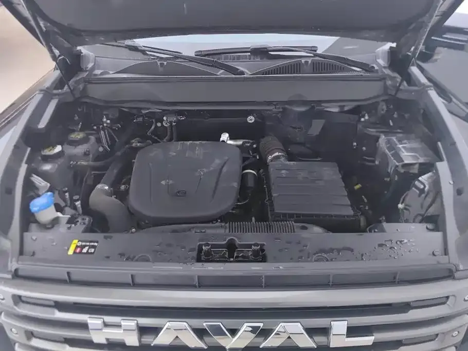 Haval Menglong New Energy — фото 10