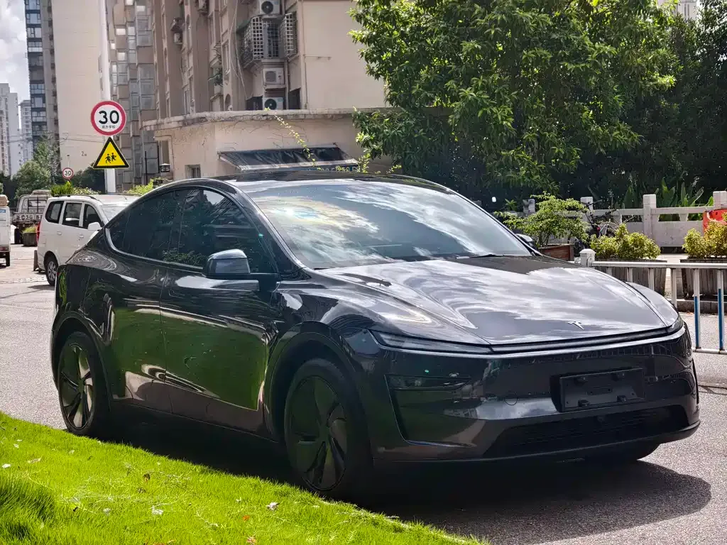 Tesla Model Y — фото 10