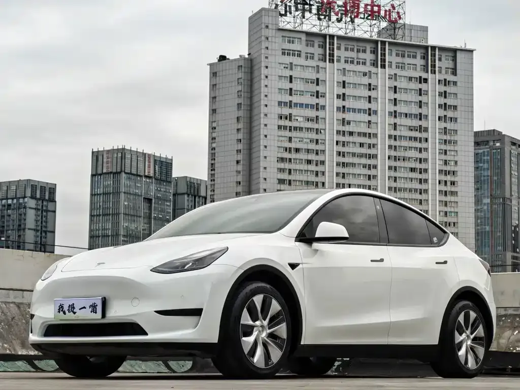 Tesla Model Y — фото 1