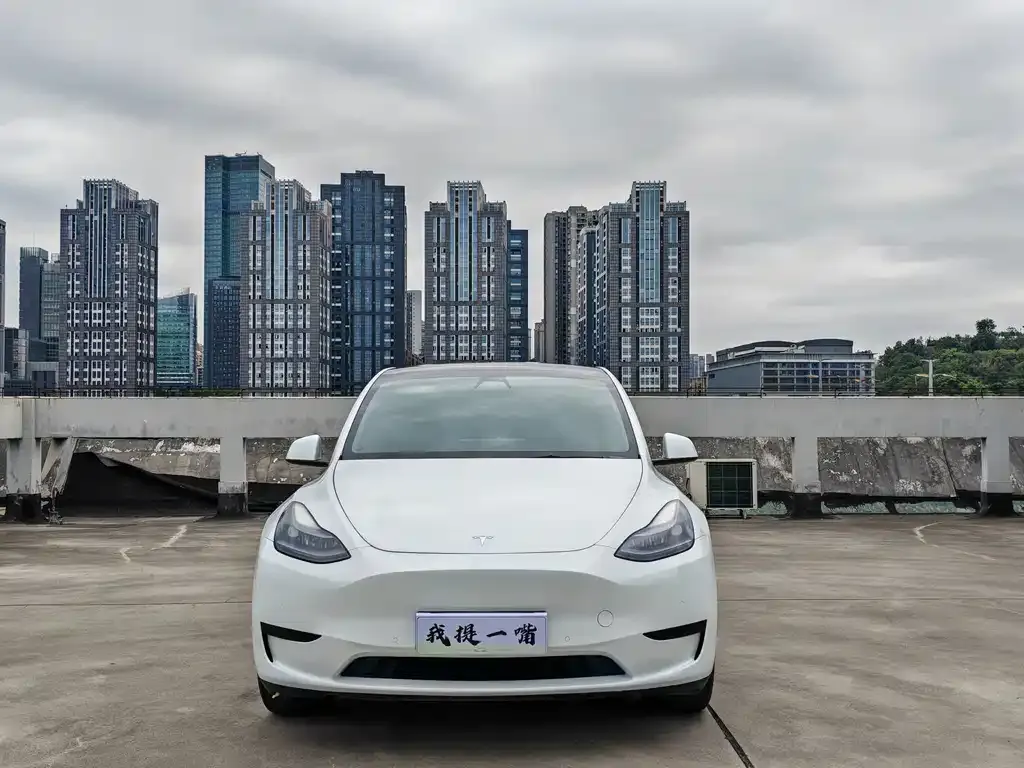 Tesla Model Y — фото 3