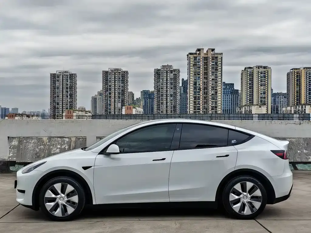 Tesla Model Y — фото 4