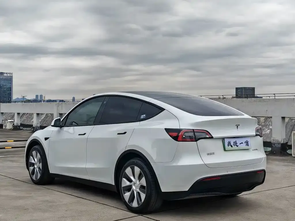 Tesla Model Y — фото 2