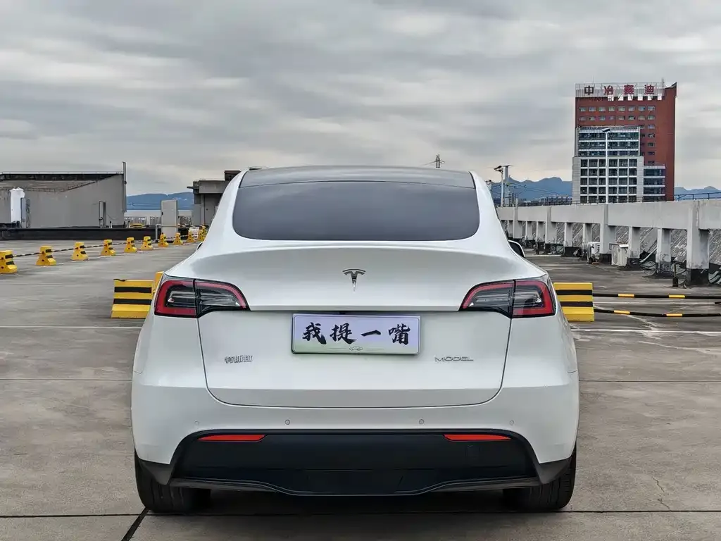 Tesla Model Y — фото 9