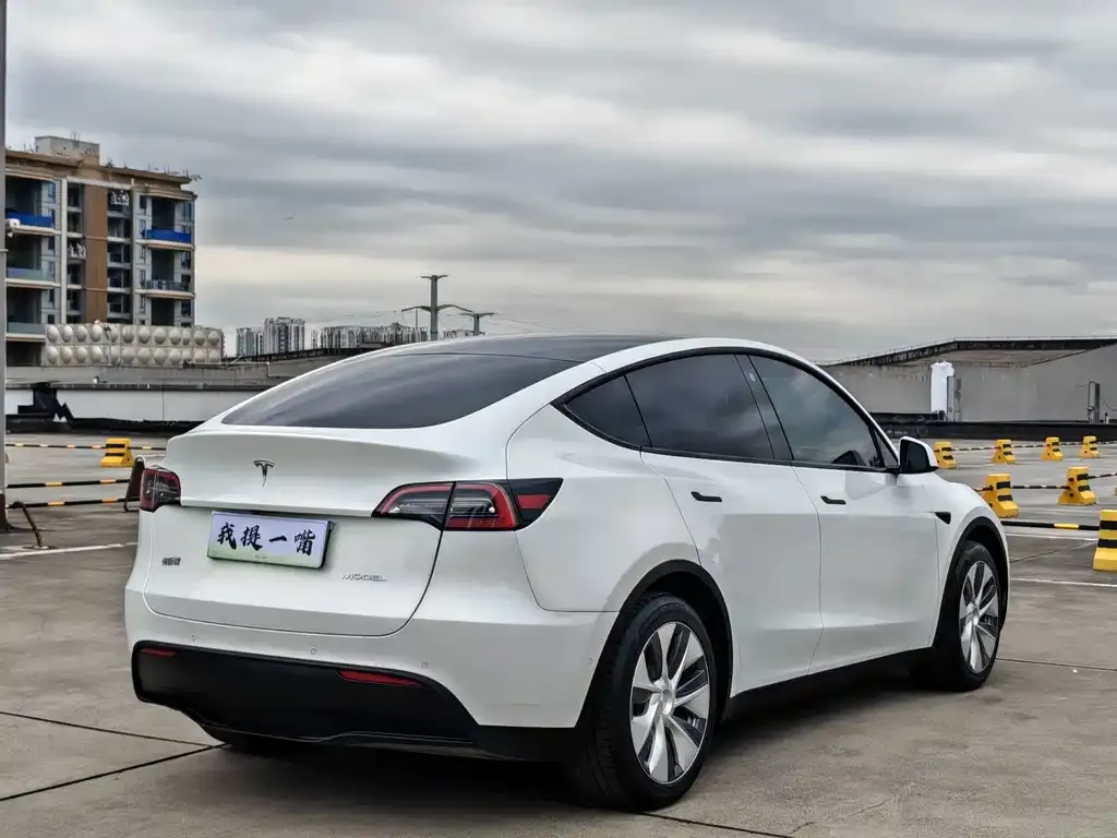 Tesla Model Y — фото 8