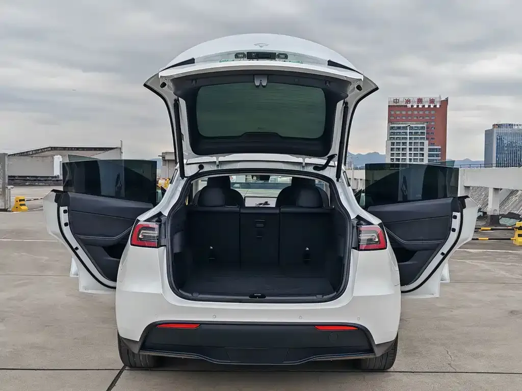 Tesla Model Y — фото 10