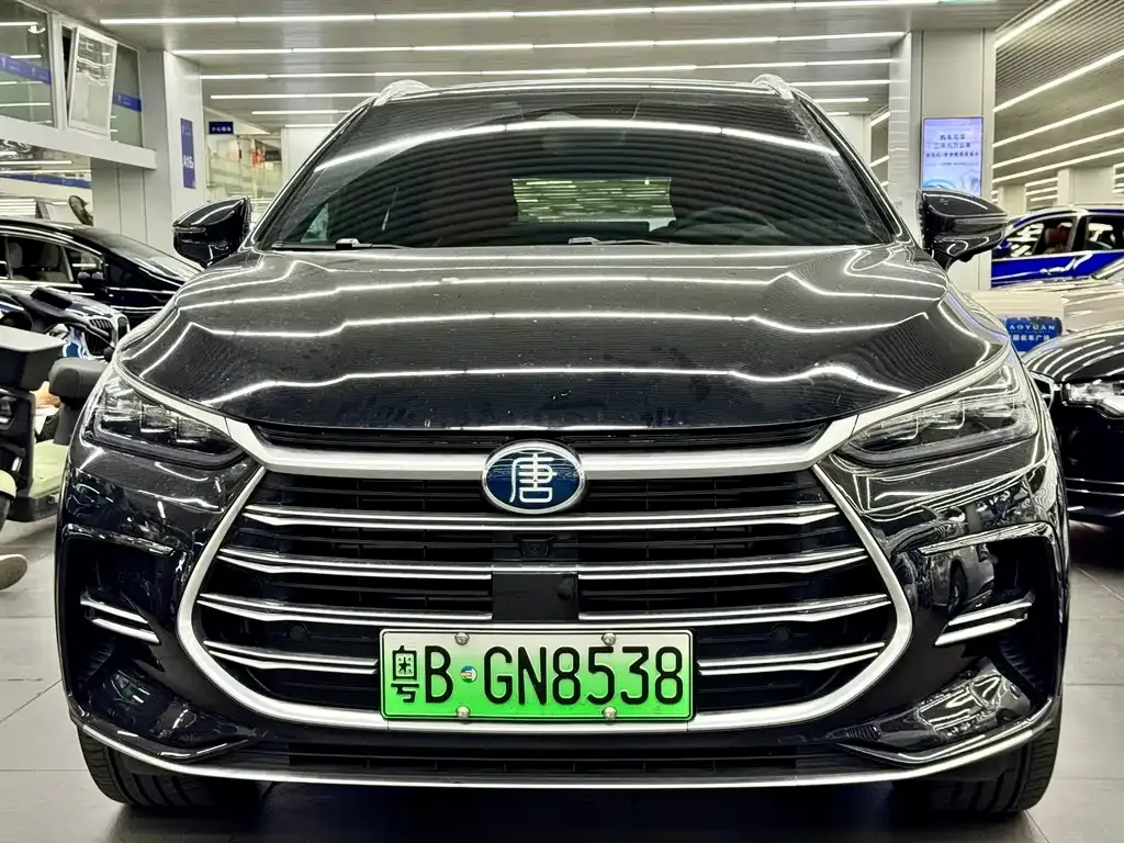 BYD Tang New Energy — фото 6