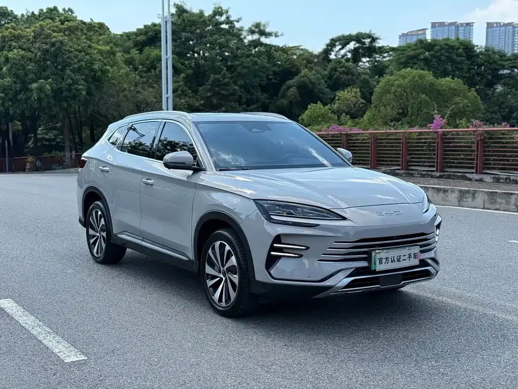 BYD PLUS New Energy — фото 7