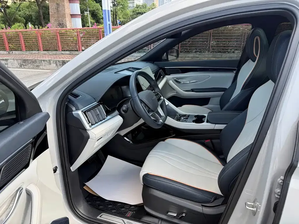 BYD PLUS New Energy — фото 4
