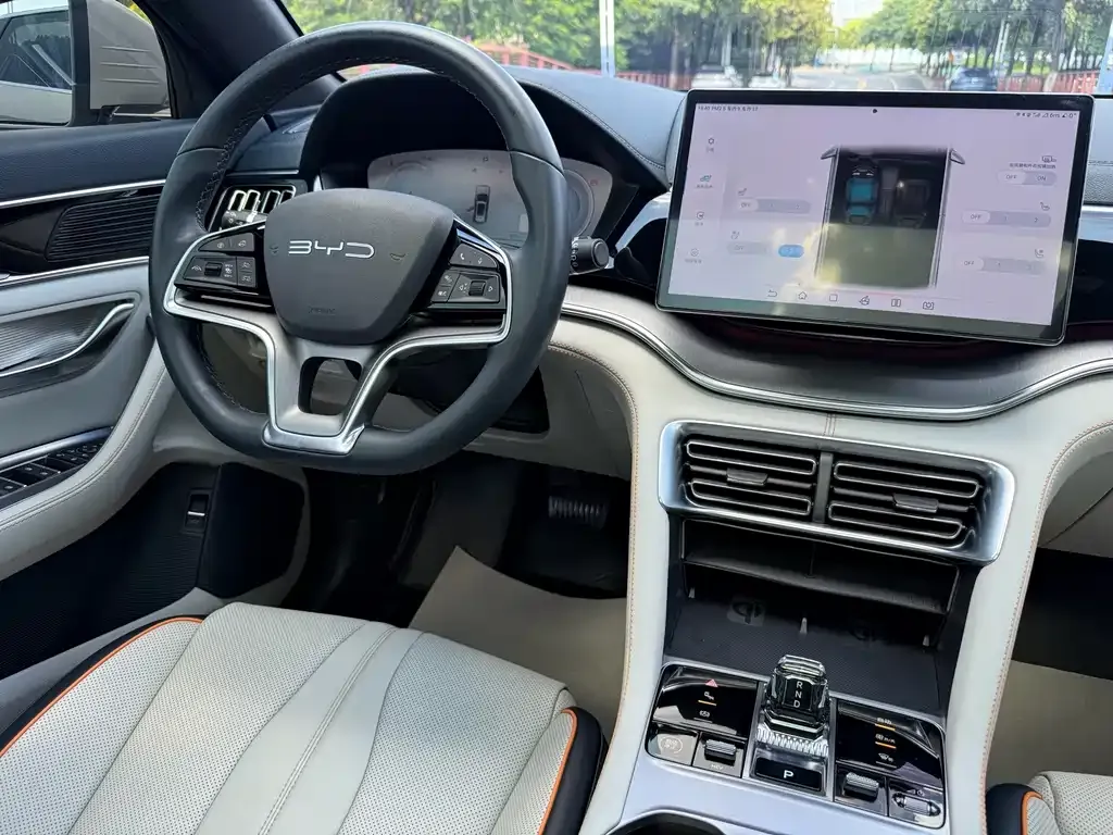 BYD PLUS New Energy — фото 10
