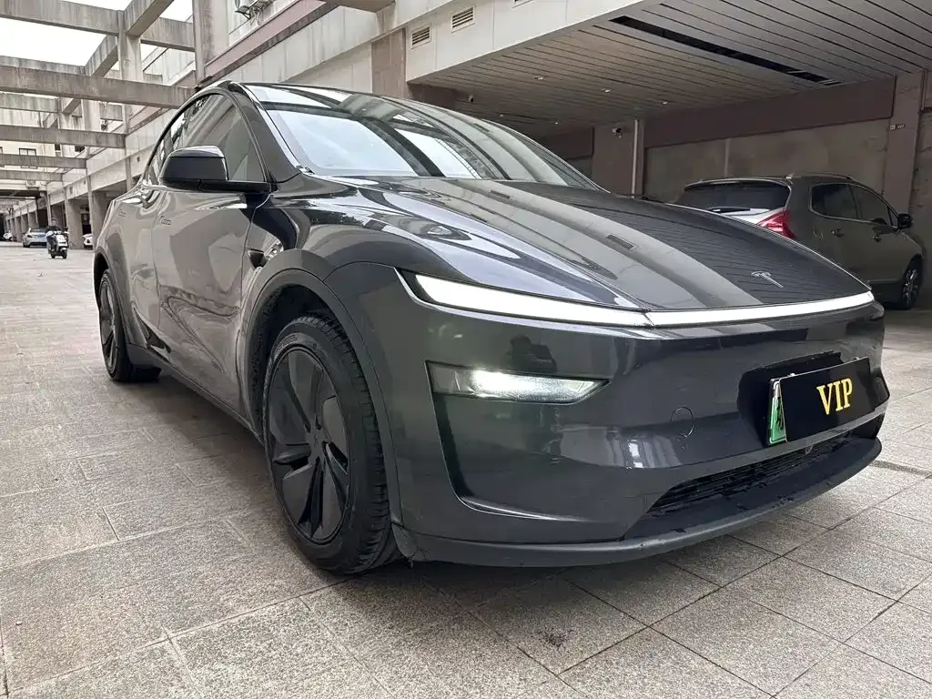 Tesla Model Y — фото 10
