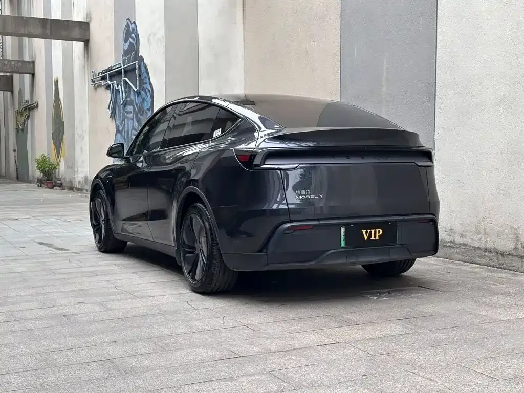 Tesla Model Y — фото 3