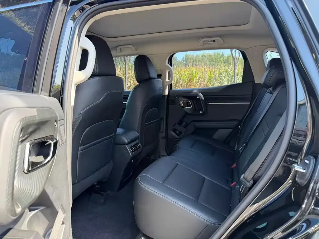 Haval Big Dog PLUS New Energy — фото 7