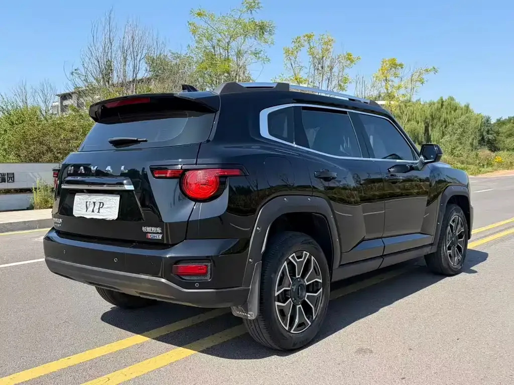 Haval Big Dog PLUS New Energy — фото 3
