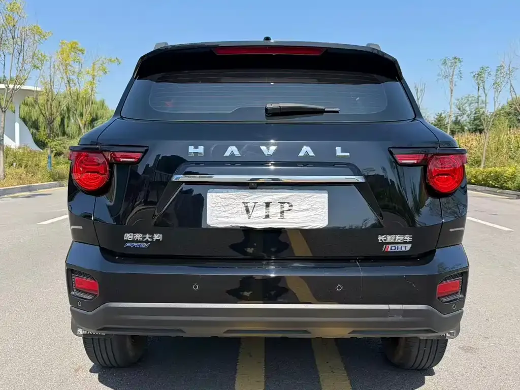 Haval Big Dog PLUS New Energy — фото 6