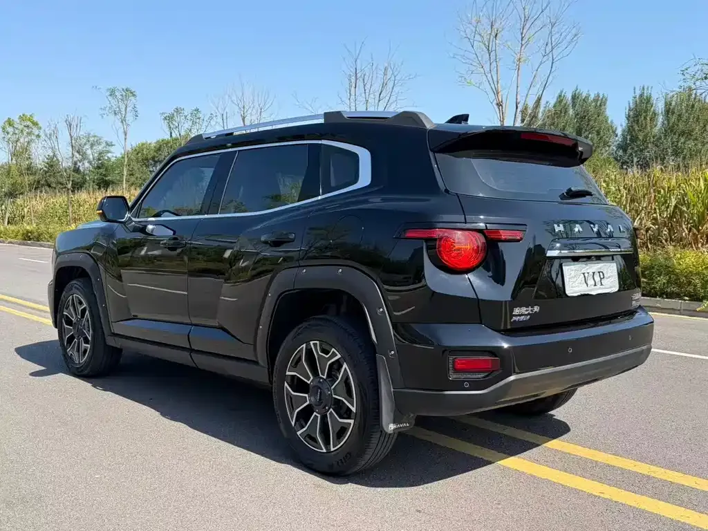 Haval Big Dog PLUS New Energy — фото 9