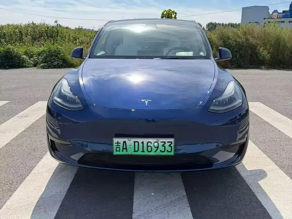 Tesla Model Y — фото 1