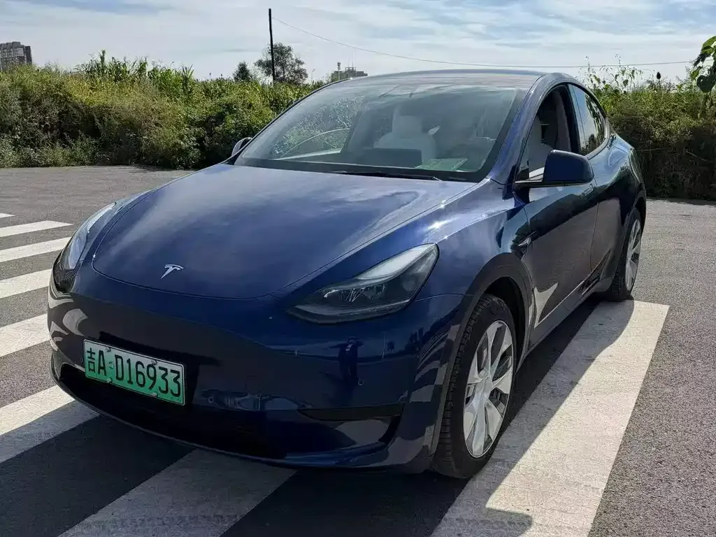 Tesla Model Y — фото 8