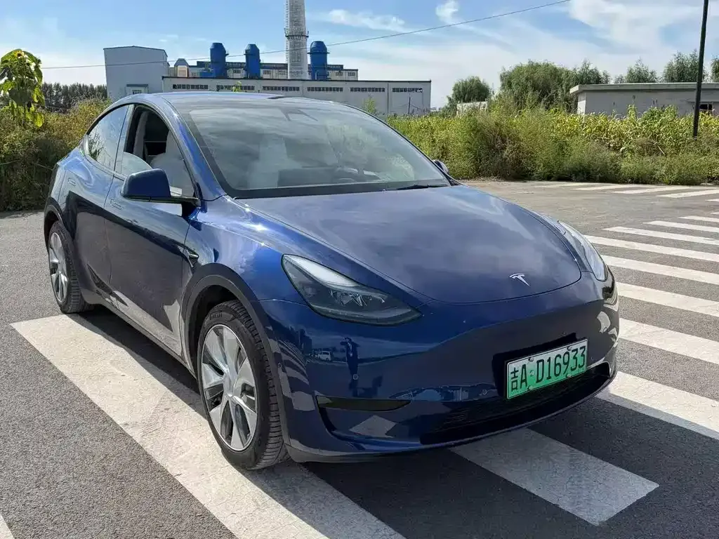 Tesla Model Y — фото 9