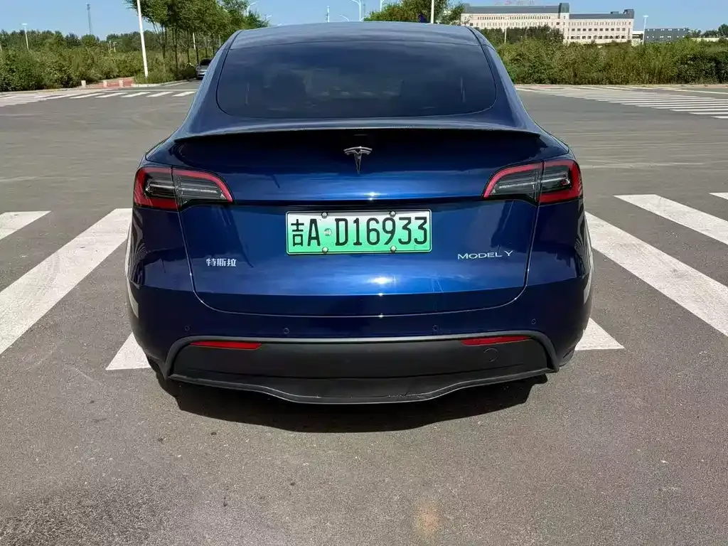 Tesla Model Y — фото 6