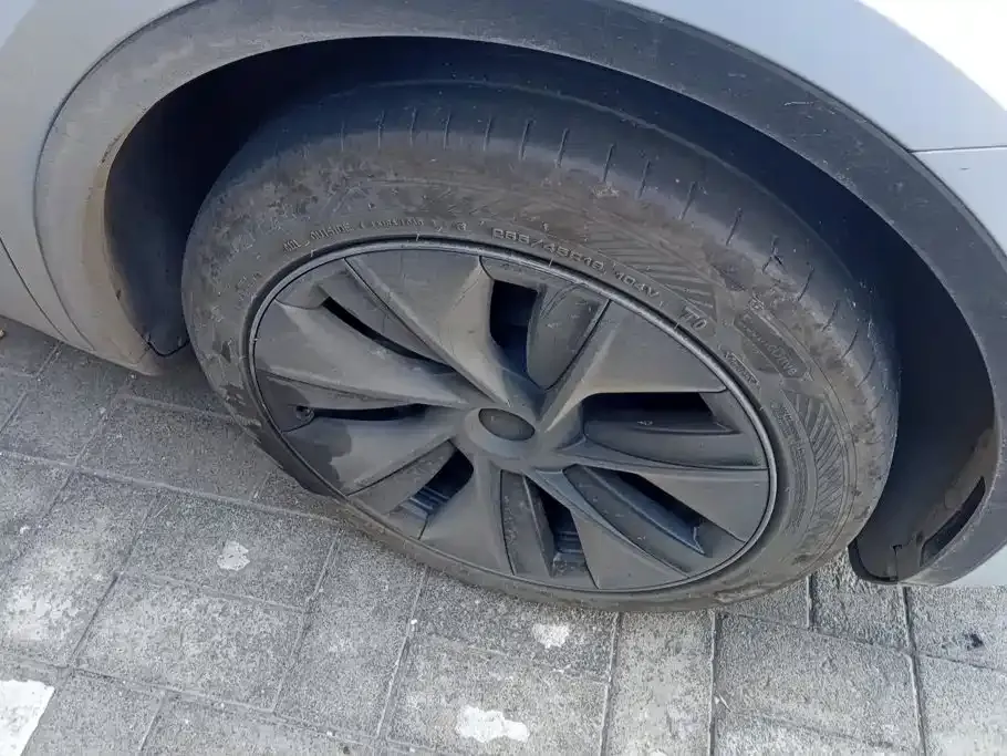 Tesla Model Y — фото 10