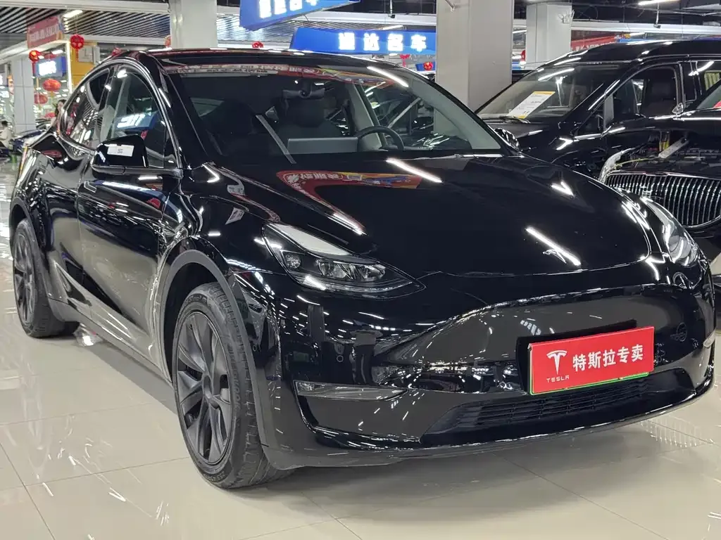 Tesla Model Y — фото 8