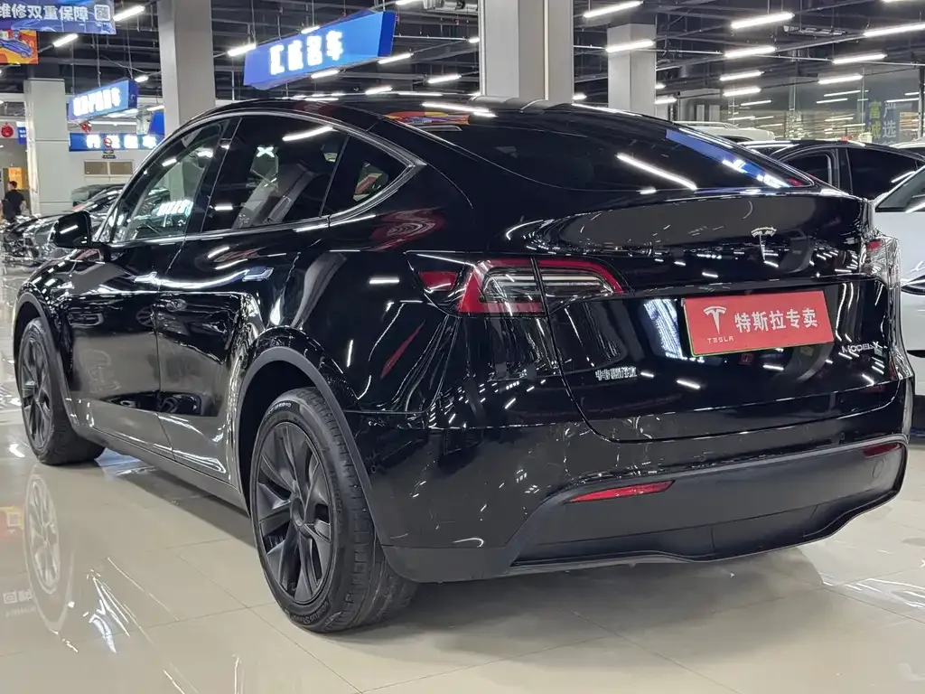 Tesla Model Y — фото 5