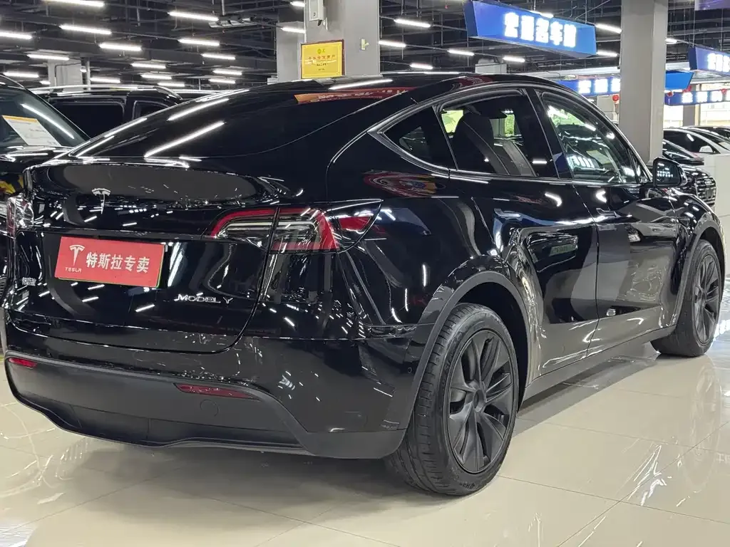 Tesla Model Y — фото 6