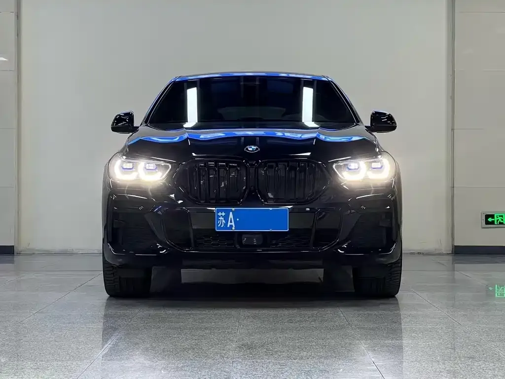 BMW X6 — фото 6