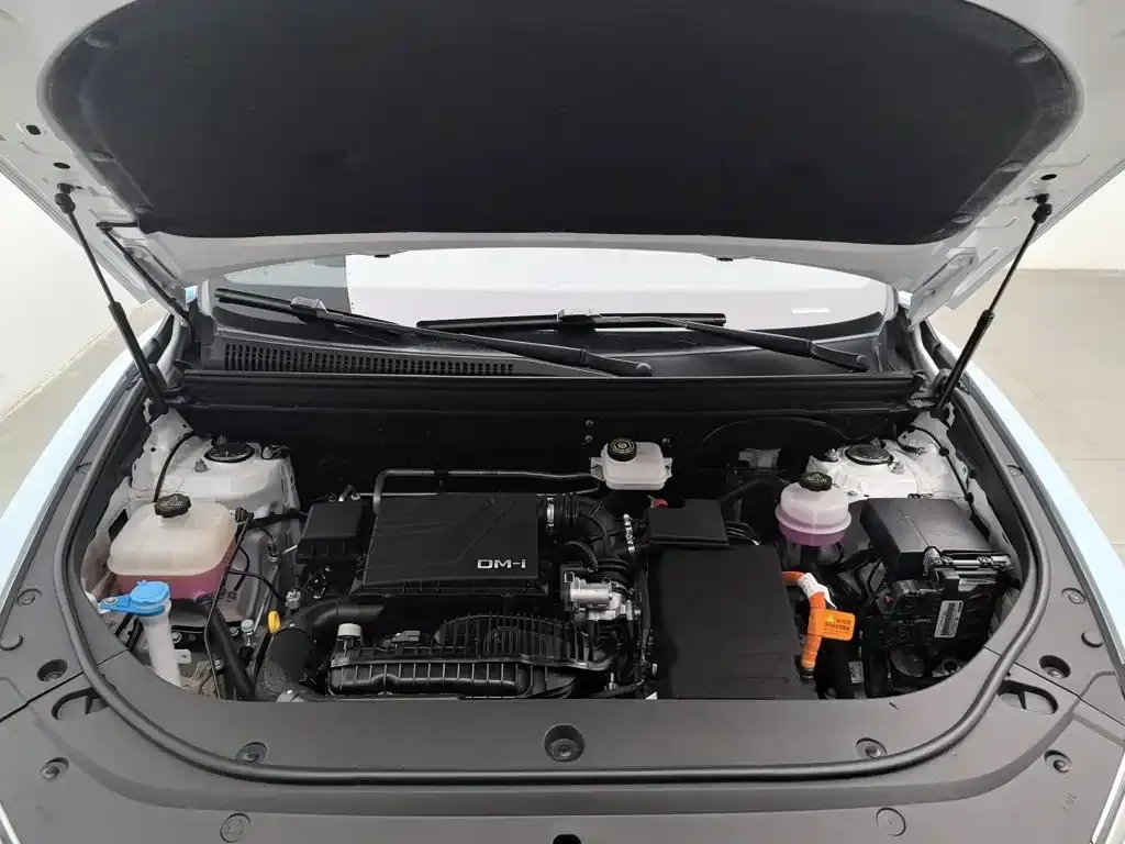 BYD Pro New Energy — фото 8
