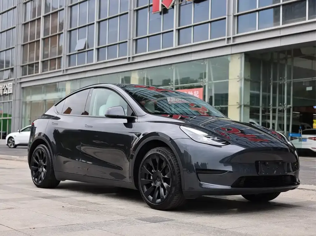 Tesla Model Y — фото 10