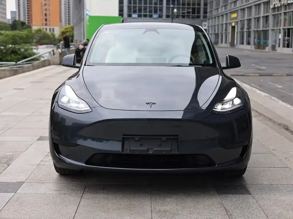 Tesla Model Y — фото 9