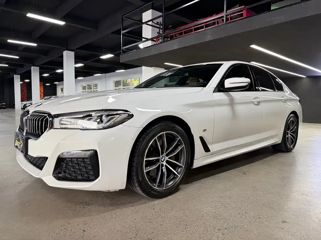 BMW 5 Series (Import) — фото 1