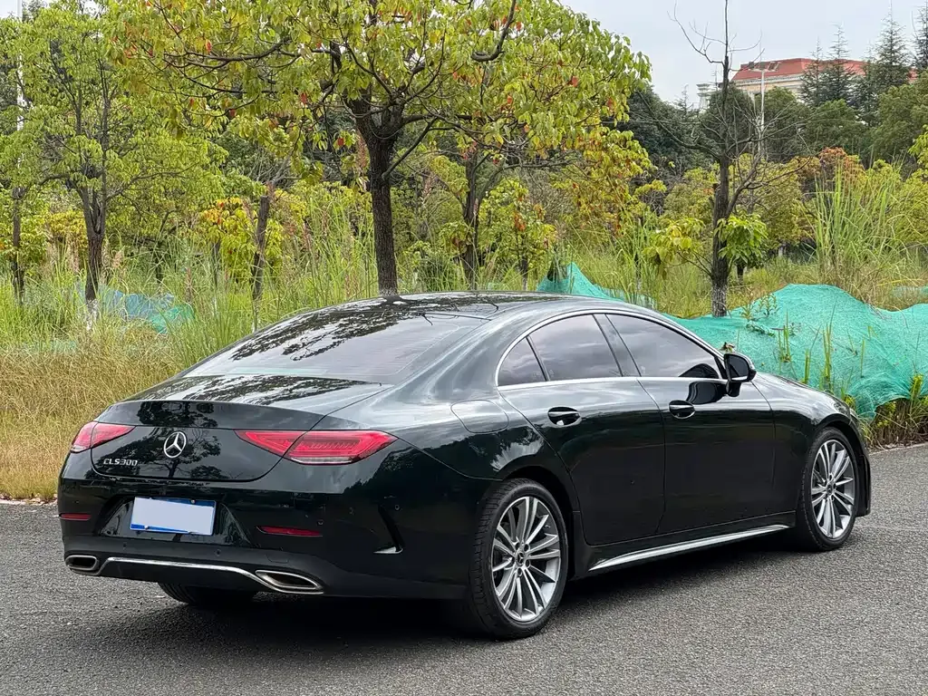 Mercedes-Benz CLS — фото 8